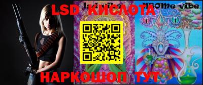 шишки Камень-на-Оби