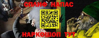 шишки Камень-на-Оби