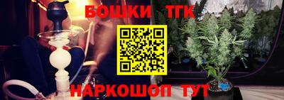 шишки Камень-на-Оби