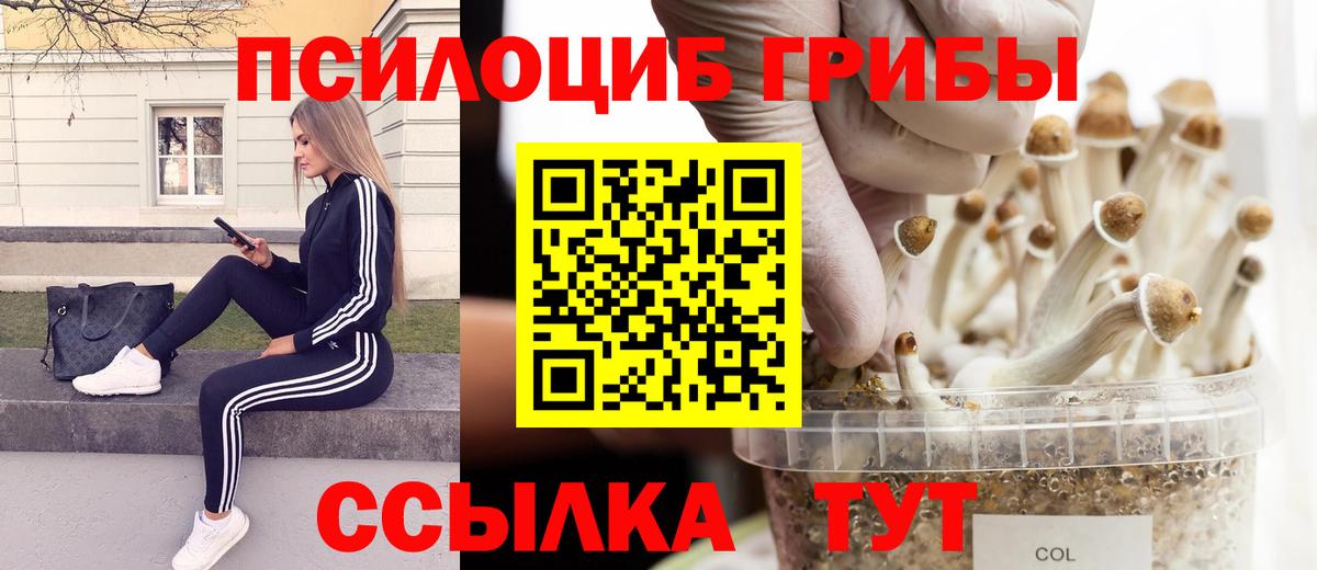 Галлюциногенные грибы мухоморы  Псилоцибиновые грибы мицелий  Чебаркуль  Вход с VPN 